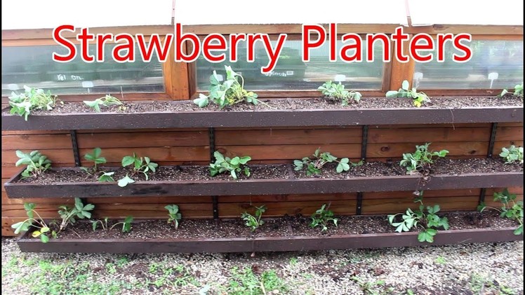 How to Build Strawberry Planters