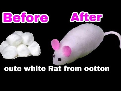 How to make white rat with cotton | Gk craft