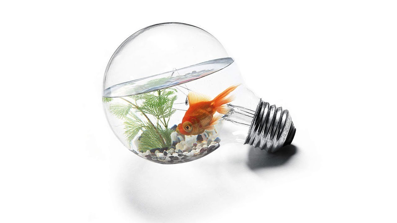 HACKS FOR YOUR LIFE How to create aquarium in light bulb simple method DIY -kpz art and craft