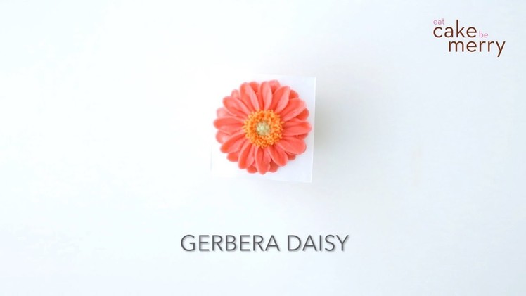 How to Pipe a Buttercream Flower: Gerbera Daisy