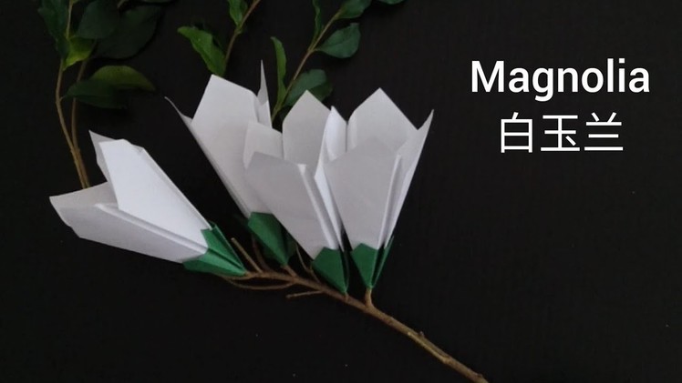 Origami Magnolia Flower 折纸白玉兰
