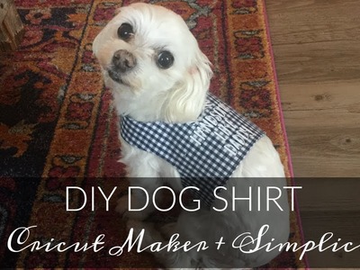 DIY Dog Shirt Tutorial feat. Cricut Maker & Simplicity 2393
