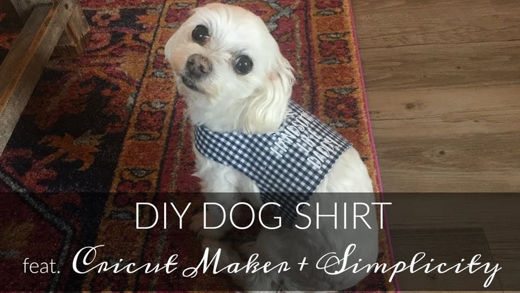DIY Dog Shirt Tutorial feat. Cricut Maker & Simplicity 2393