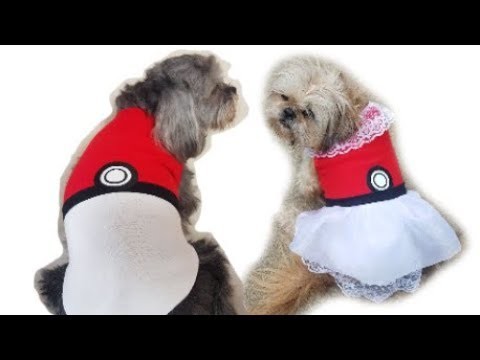 2 Dog Pokemon Pokeball Costumes: DIY Outfit & Shirt