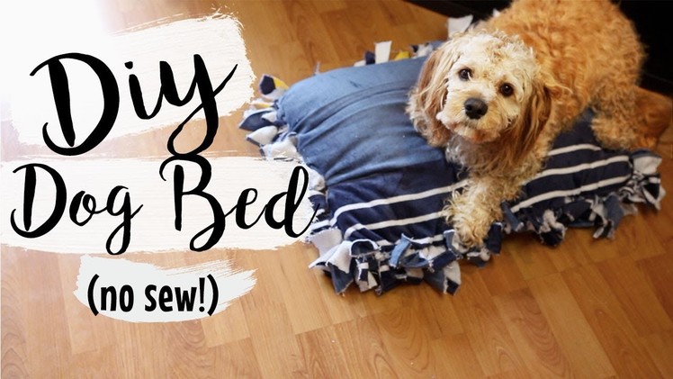 DIY Towel Dog Bed (No Sew) | Easy Pet DIYs