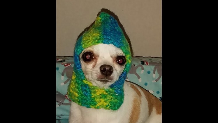 Crochet Chihuahua Hat Tutorial How To Crochet a Dog Hat