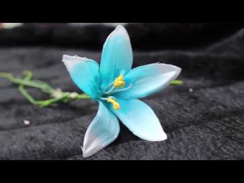 Legend of Zelda DIY - Silent Princess Flower  - BotW