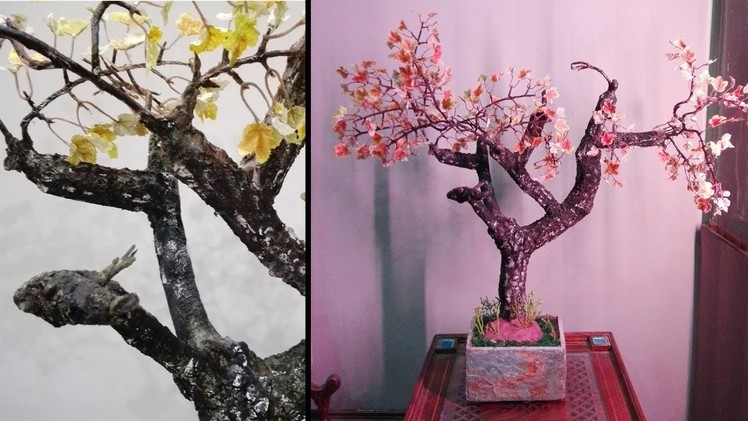 How to make DIY Maple  Tree ,Old autumn tree ( bonsai )