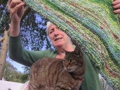 A catch up about tennis, knitting, kittens and poor Hilda