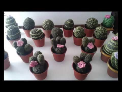 Cactus en crochet