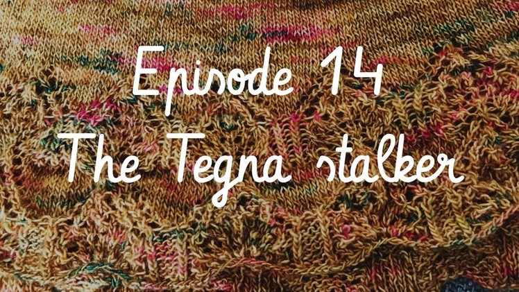 Ep. 14: Obsessed with my Tegna sweater | Braid + Tinker Knitting Podcast