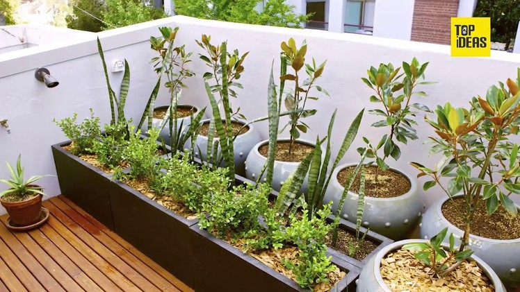 Beautiful DIY Balcony garden Ideas l Small Terrace Designs