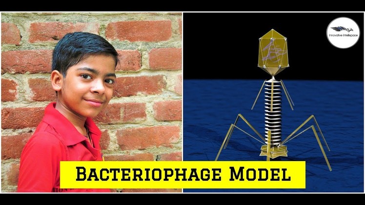 DIY How to make Bacteriophage Model | Science Projects