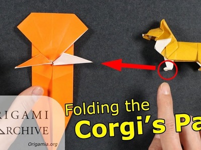 Folding the Origami Corgi's Paw