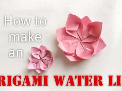 Origami Water Lily「折り紙 睡蓮」(古典) | hsouen