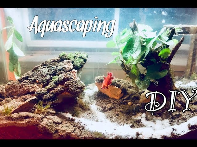 DIY Fish Tank Decorations | Aquascaping
