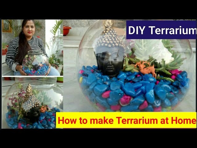 DIY terrarium.How to make terrarium at home 2018.टेरारियम कैसै बनायें.What is terrarium?