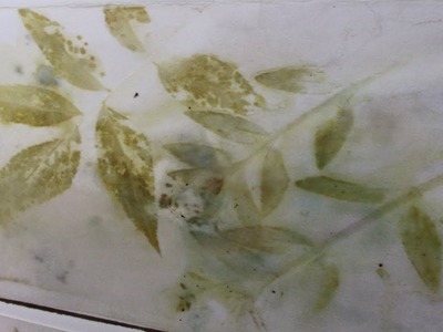 Eco Printing (Eco Dying) on Paper