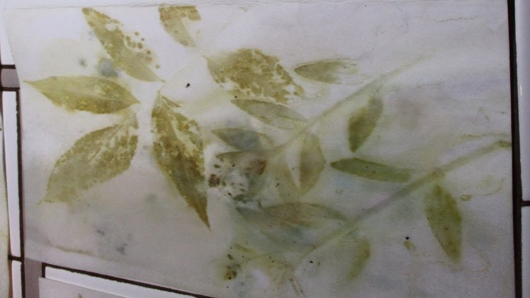 Eco Printing (Eco Dying) on Paper