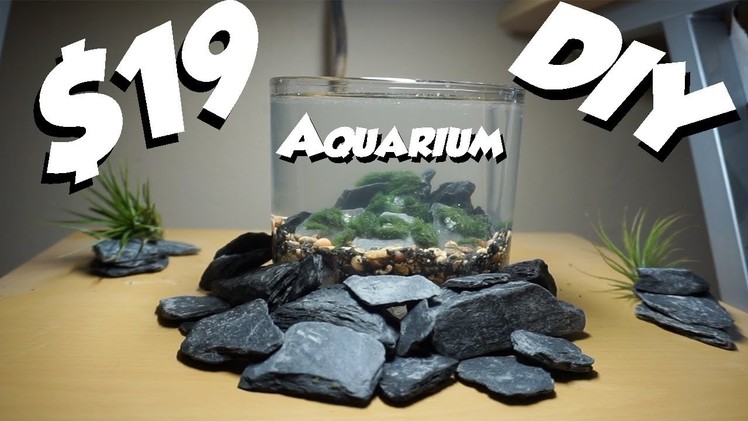 Desktop Aquarium: DIY Nano Planted Aquarium!