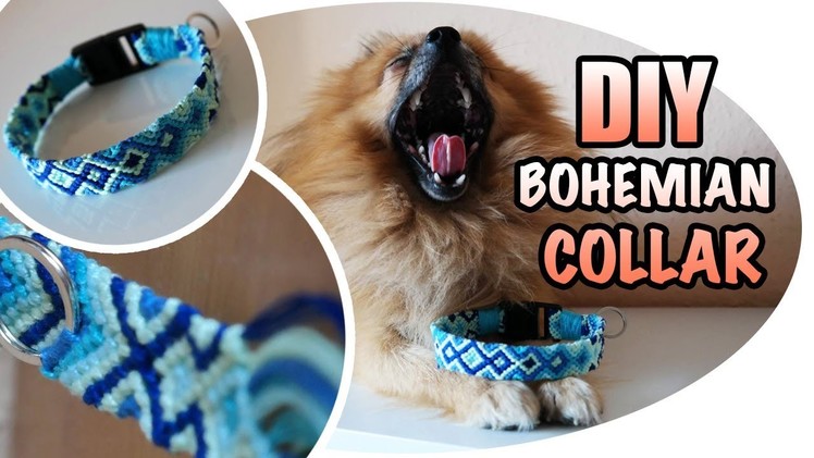 DIY: Ocean inspired bohemian style dog collar