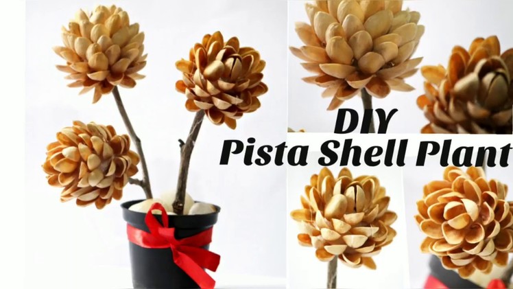 Easy DIY Pista Shell Plant | Best Out Of Waste with Pistachios shells