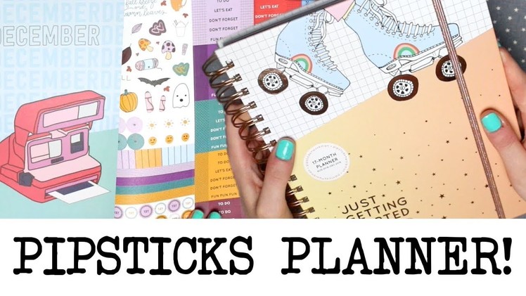 Pipsticks Planner, Full Flip Through!