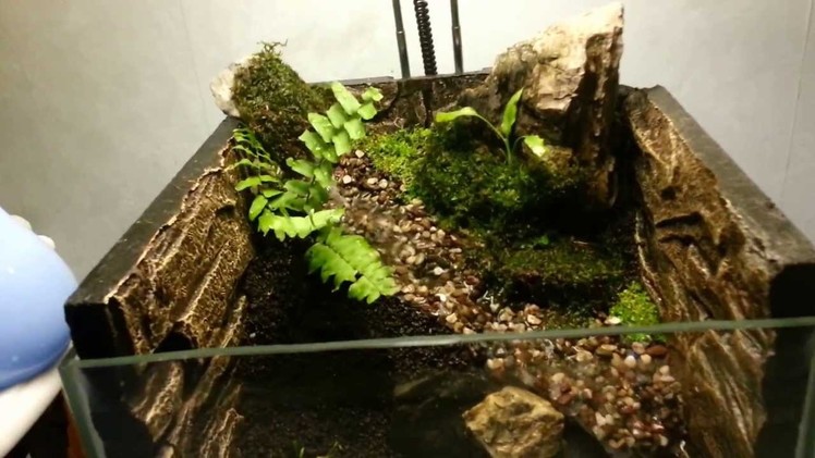 First try in building paludarium