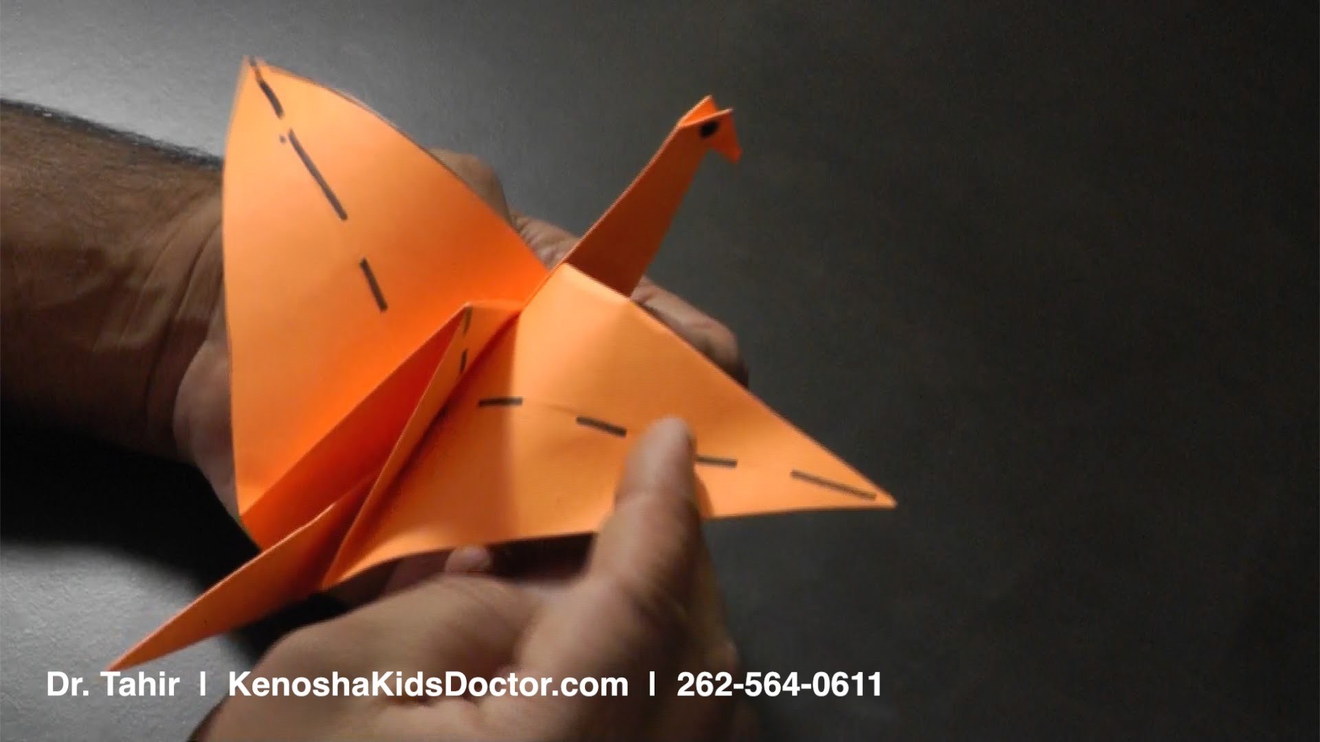 how-to-fold-an-origami-flapping-bird-step-by-step