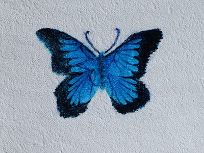 How To: Paint a Butterfly Using Acrylics
