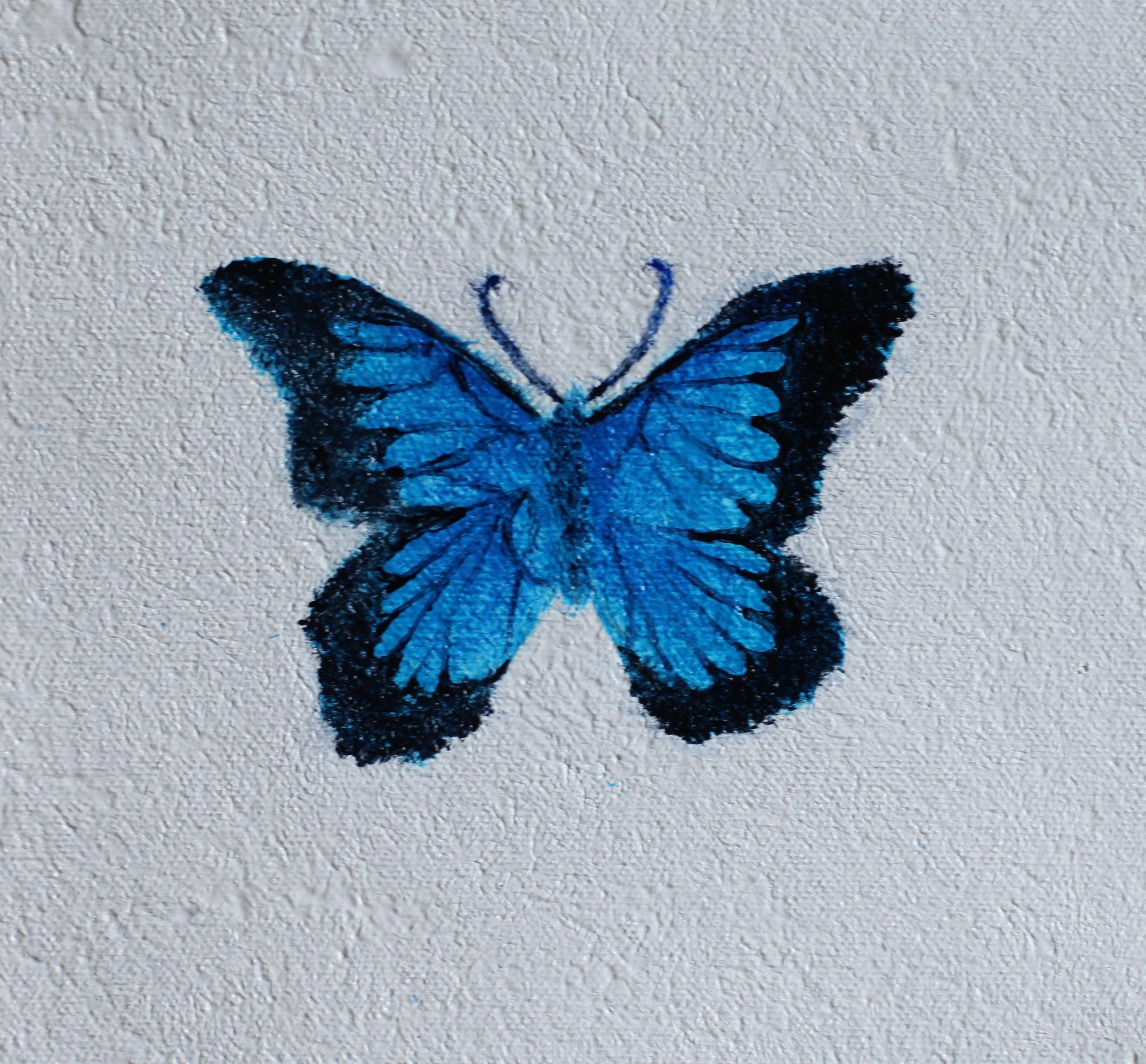 Покрасить бабочку