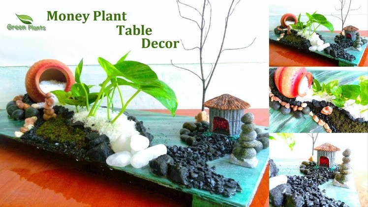 Money plant Table Decoration | Money plant Growing Ideas | Money plant Table Top Decor.GREEN PLANTS