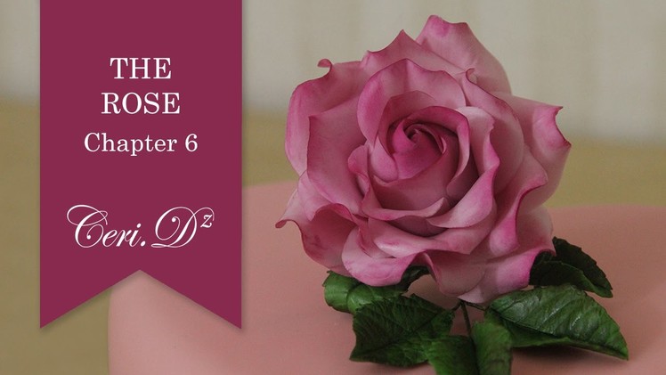 The Rose #6 | Rose Petals 17-22