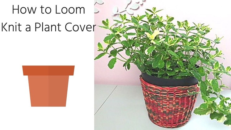 Loom Knit Plant Cover