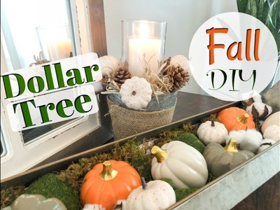 DOLLAR TREE FALL DIY + DECORATE WITH ME| EASY FALL Farmhouse Style DIY| Megan Navarro