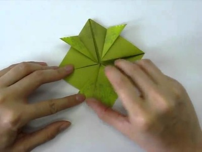 How to make - Origami Turtle