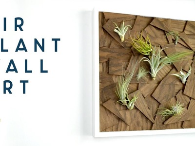 DIY Air Plant Wall Art from Scrap Wood | woodworking how to