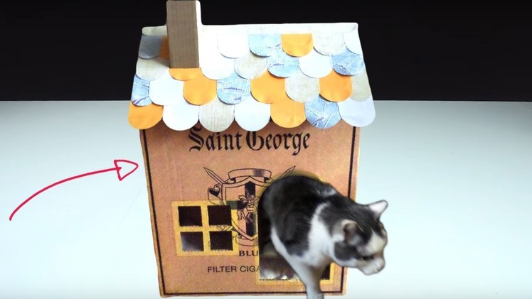 How to Build a House for a Cat from Cardboard