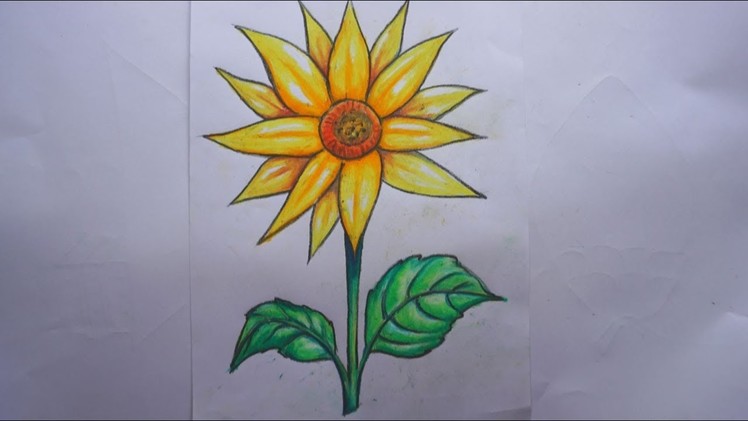 How to draw beautiful sun flower | easy art using pencil  oil pastel