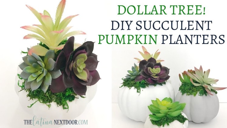 DIY Dollar Tree Succulent Pumpkins | Easy Fall Decor 2018 | Dollar Tree Fall DIY