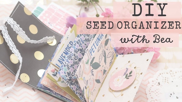 DIY Seed Organizer with Bea