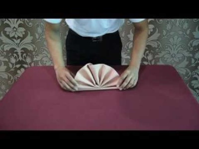 Napkin Folding - DTH2023 - Food And Beverage Services