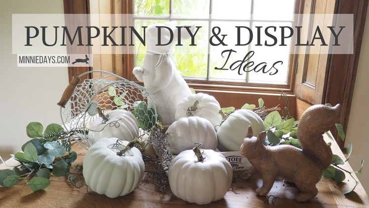Pumpkin DIY and Display Ideas | Budget Friendly