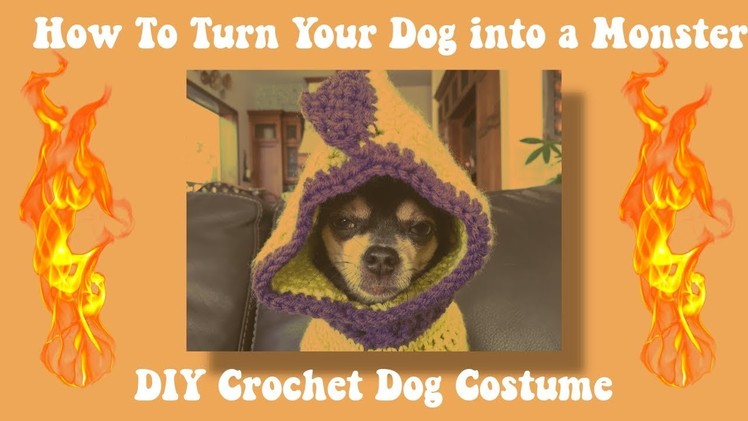 DIY CROCHET DOG HALLOWEEN COSTUME (DRAGON)  Part 1 | grayzef