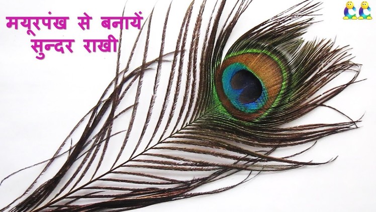 DIY How to make rakhi with peacock wings at home ||मोरपंखी से बनायें सुन्दर राखी #Craft Care