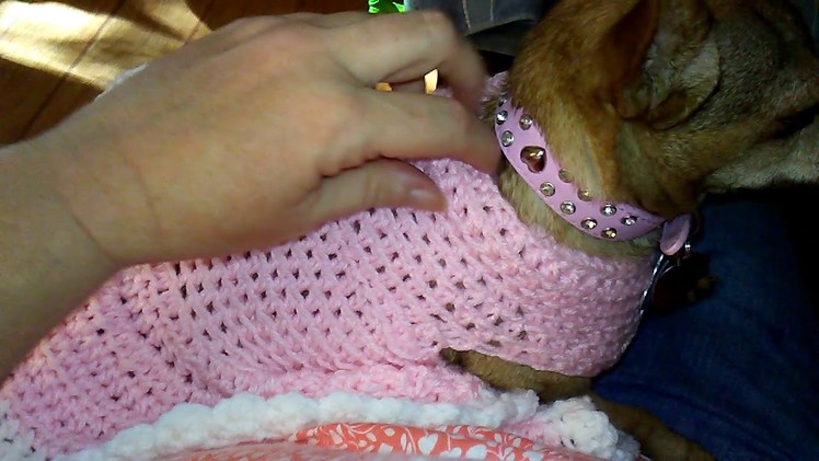 I Crochet a dog sweater dress for my Chihuahua