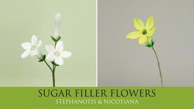 How to Make Stephanotis, Nicotiana | Sugar Filler Flowers Part 2