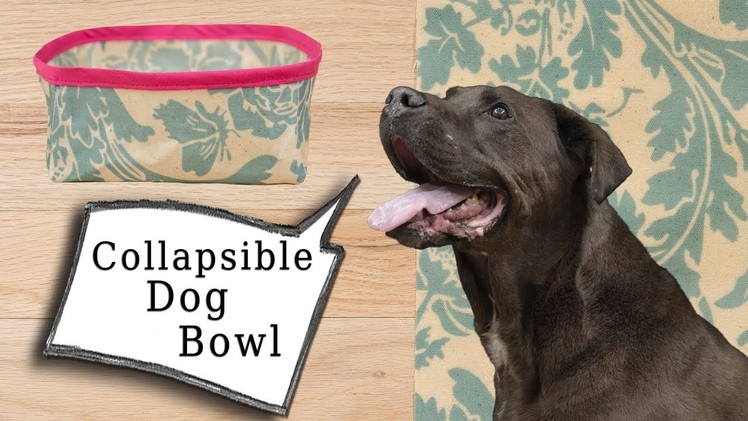 How to Sew a Collapsible Dog Bowl