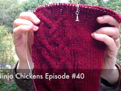 Ninja Chickens - Happy Episode 40 - The Big Giveaway!  Knitting Podcast
