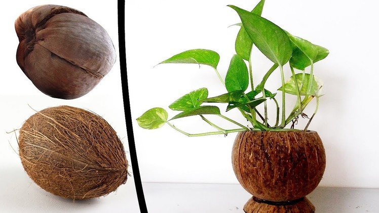 How to Reuse Waste Coconut Shell | Best Out of Waste Ideas | DIY Plant Pot Ideas Using Coconut Shell